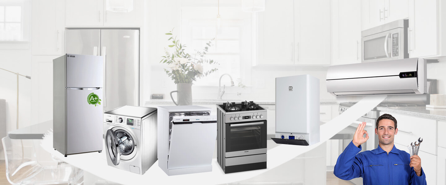 Ezine Philips Servisi